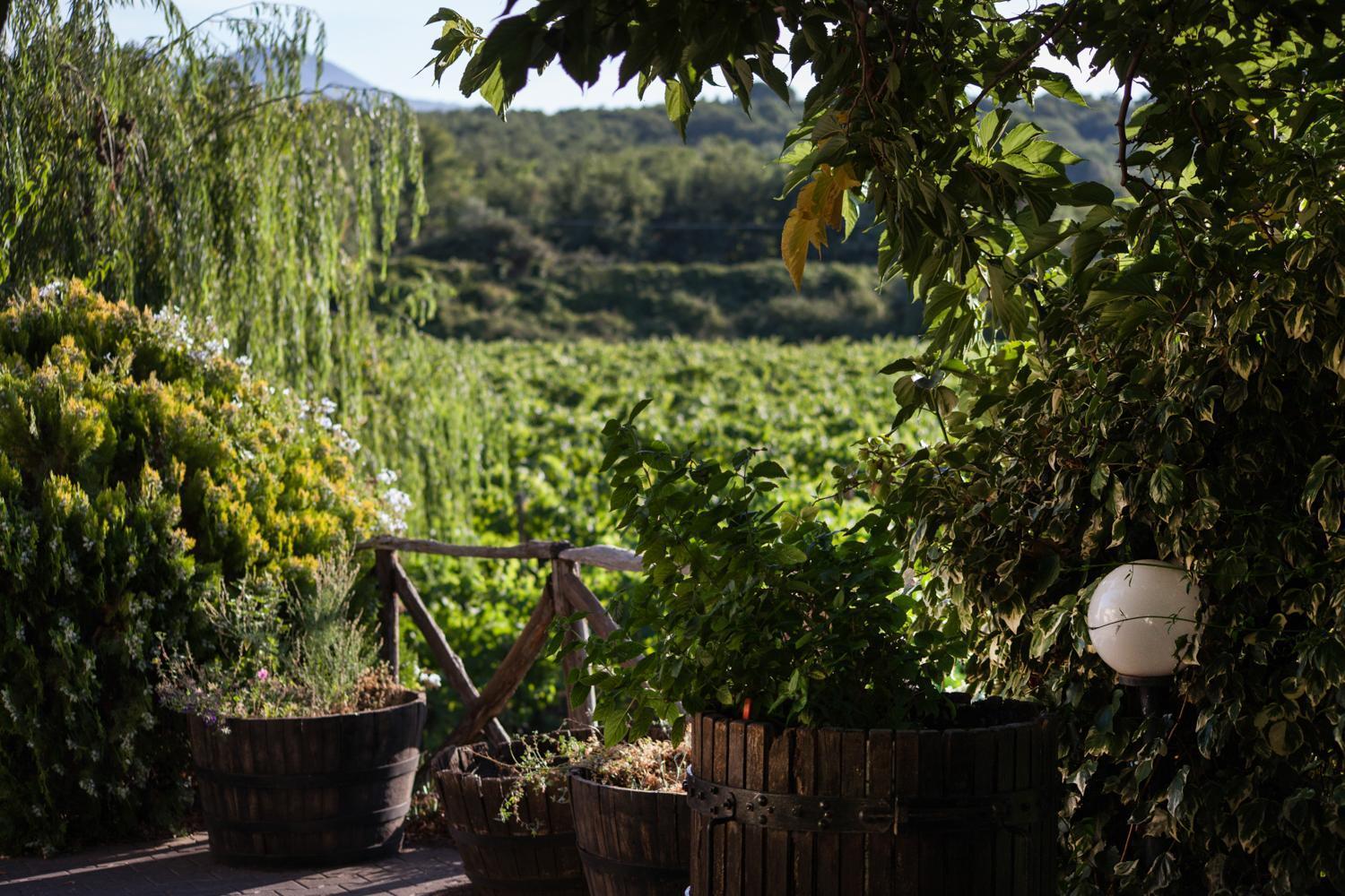 L'antica Vigna Randazzo